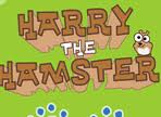 Harry The Hamster