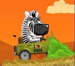 Safari Time