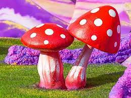 Fantasy Toadstools Jigsaw Puzzle